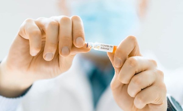 How to Prevent a Dog from Digging Under the Fence?